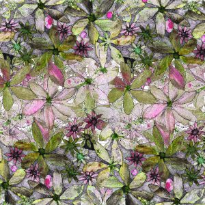 16079 Olive and Pink Potato Flowers