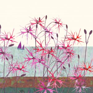 2030 Ragged Robin