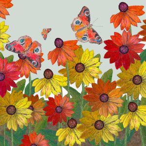 2179 Peacock and Rudbeckia