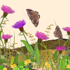 2320 Speckled Wood