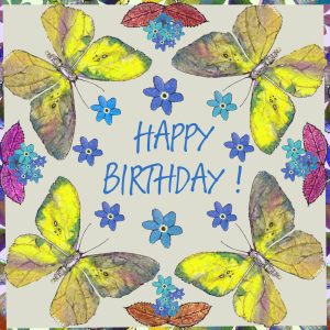 2509 Birthday Butterfly 2