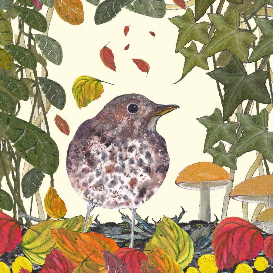 2186 Thrush in the Leaves